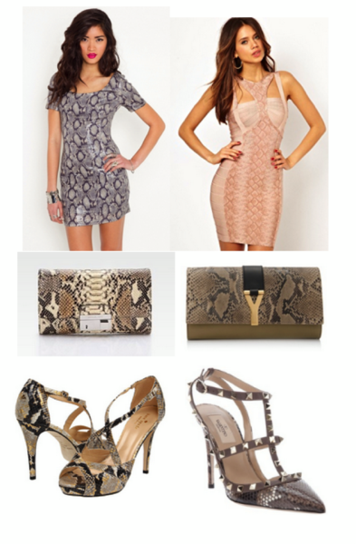 How to Look Amazing in Python Skin!